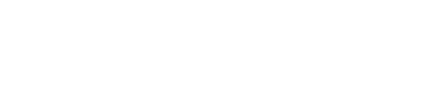 Silicon Brighton